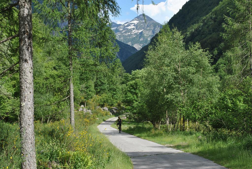 Myverzasca Resort Casa Rossa Brione  Ngoại thất bức ảnh